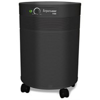 Airpura Industries V600 Air Purifier Capable of removing over 4000 chemicals  Color Black - B002AH5HYA